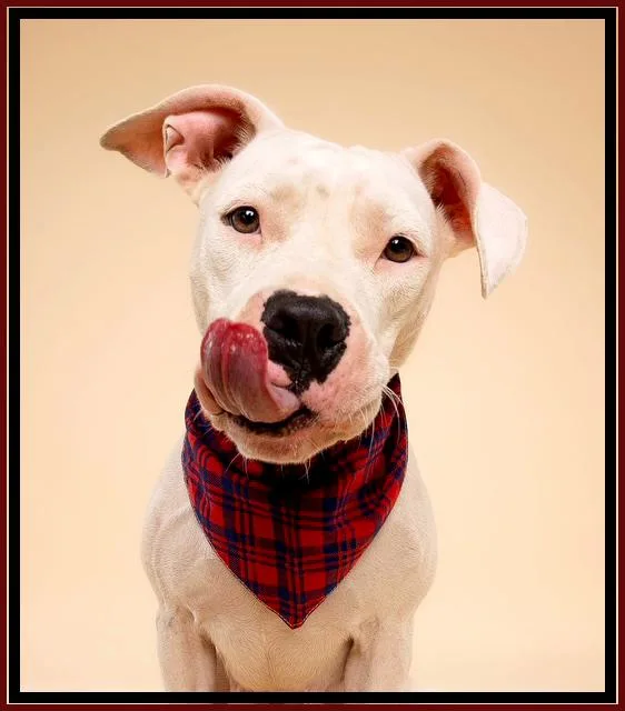 Holly And Molly thumbnail 3