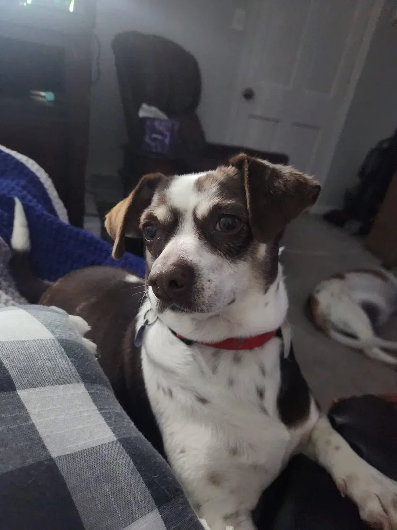 Zoe