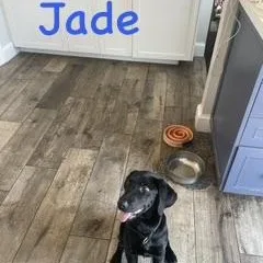 Jade thumbnail 4