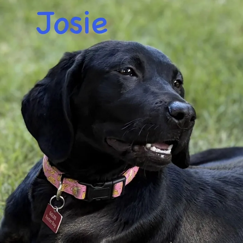 Jade thumbnail 5