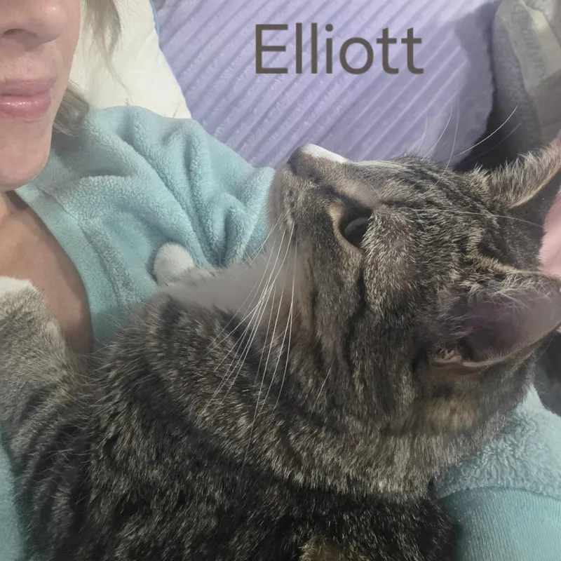 Elliott thumbnail 2