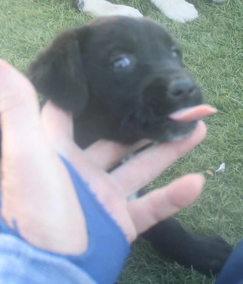 Marcie thumbnail 5