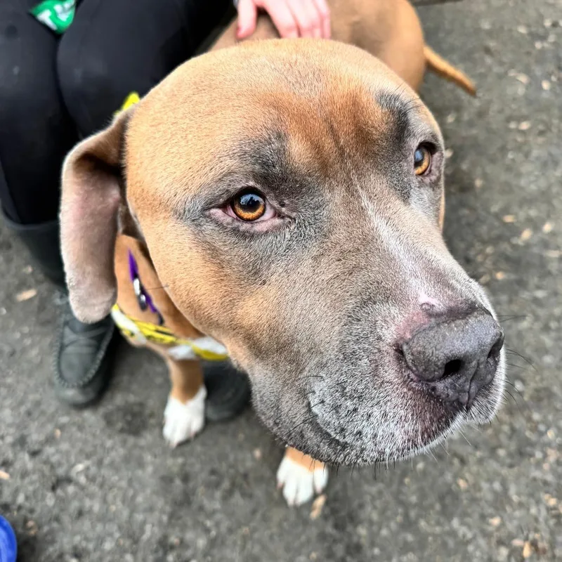 The Situation thumbnail 2