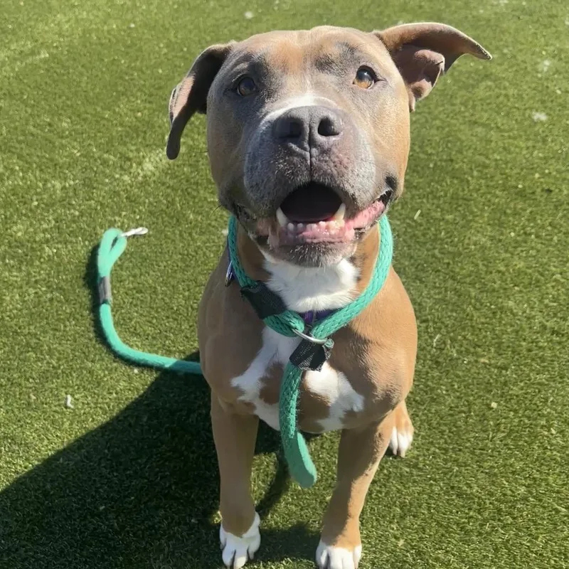 The Situation thumbnail 3