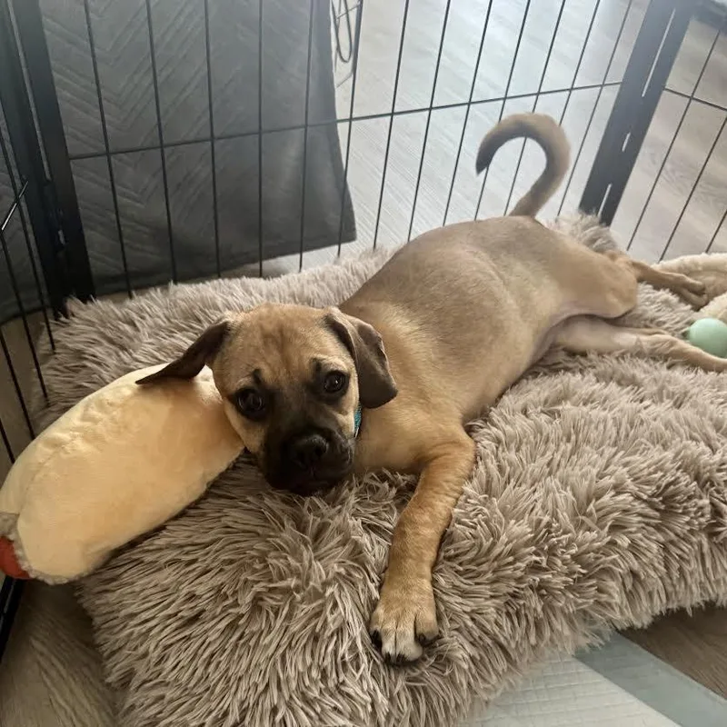 Xena