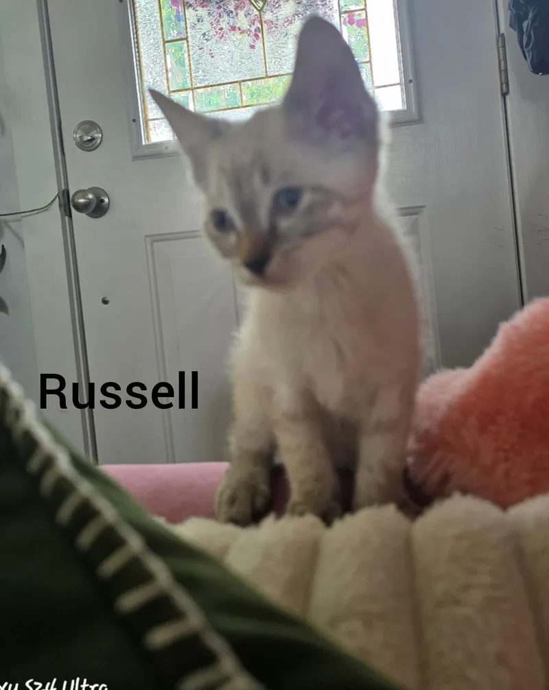 Russell