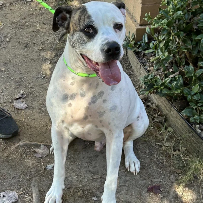 Couch Potato thumbnail 5