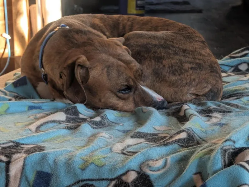 Bailey Fka Quinn thumbnail 2