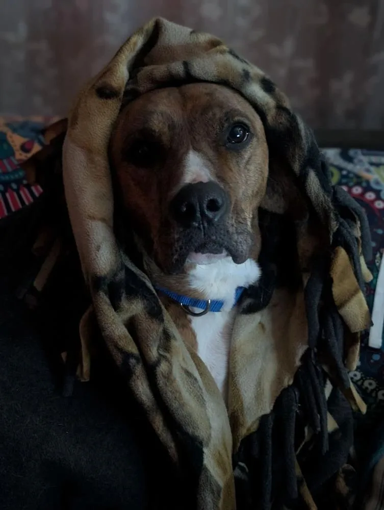 Bailey Fka Quinn thumbnail 3