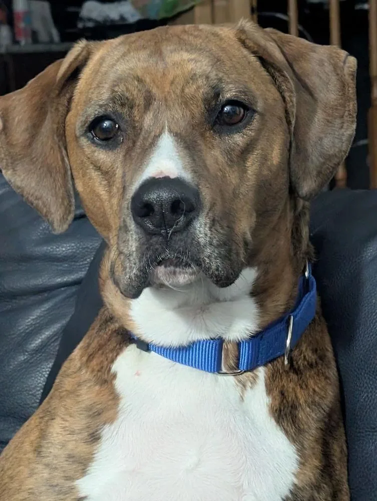 Bailey Fka Quinn thumbnail 4