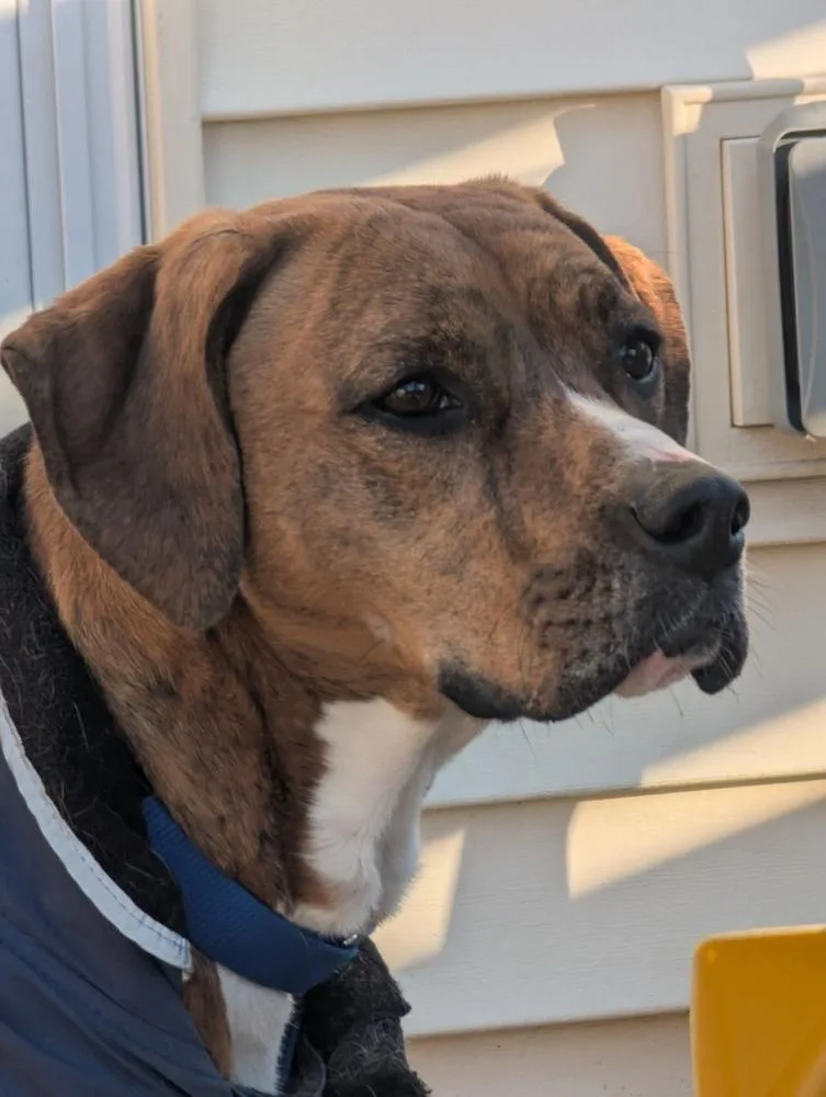 Bailey Fka Quinn thumbnail 5