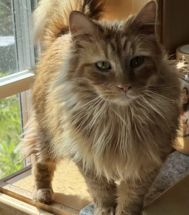 Jam & Skiddy Bonded thumbnail 2