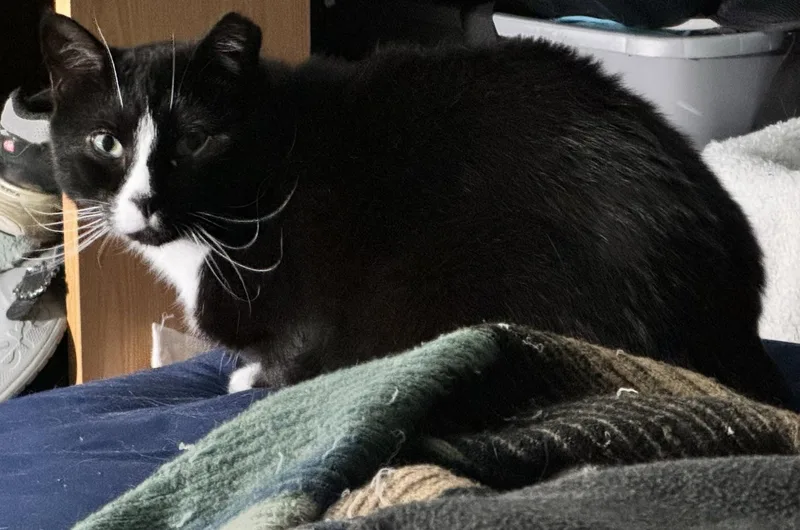 Jam & Skiddy Bonded thumbnail 4