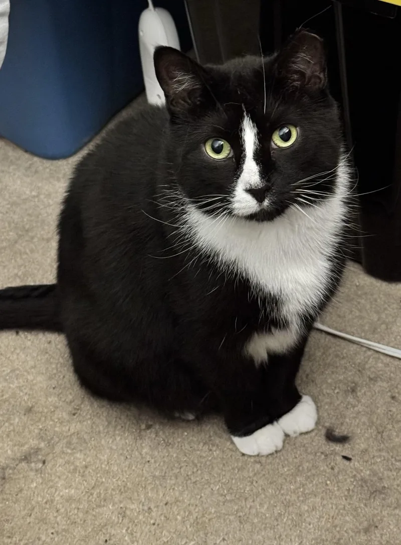 Jam & Skiddy Bonded thumbnail 5