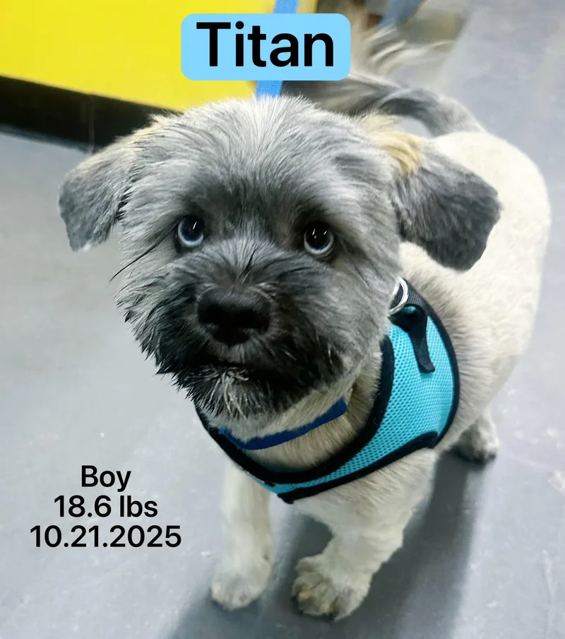 Titan thumbnail 2