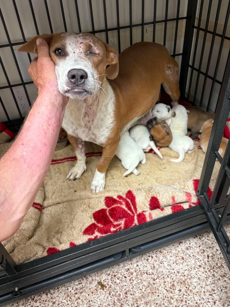 Emma  Momma thumbnail 2