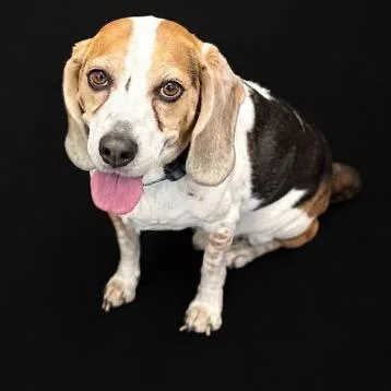 Ernie thumbnail 6