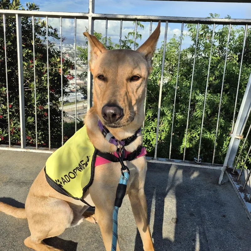 Beethoven thumbnail 3