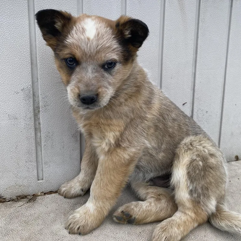 Jackson Stewart thumbnail 2