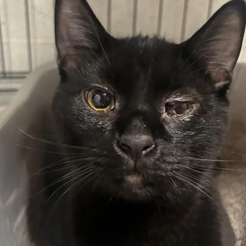 Thackery C thumbnail 3