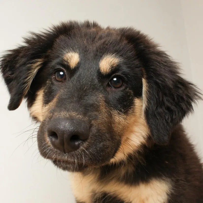 Etta James D thumbnail 2