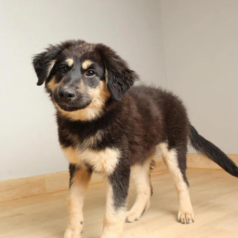 Etta James D thumbnail 3