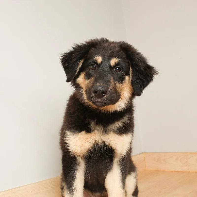 Etta James D thumbnail 4