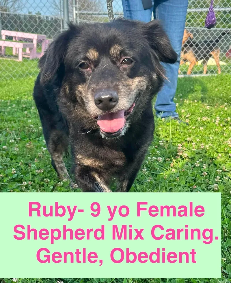 Ruby
