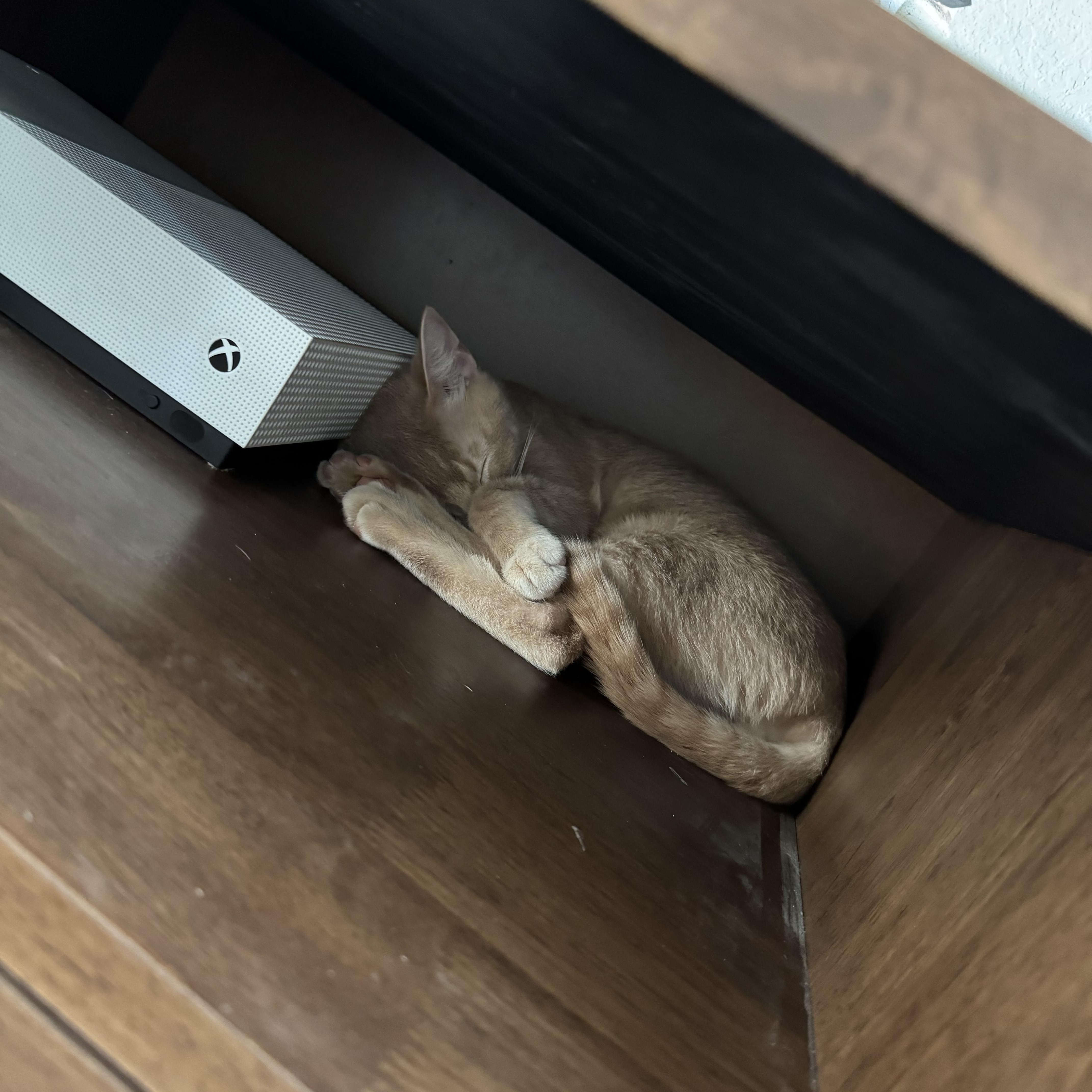 Sir Lewis Hamilton thumbnail 4