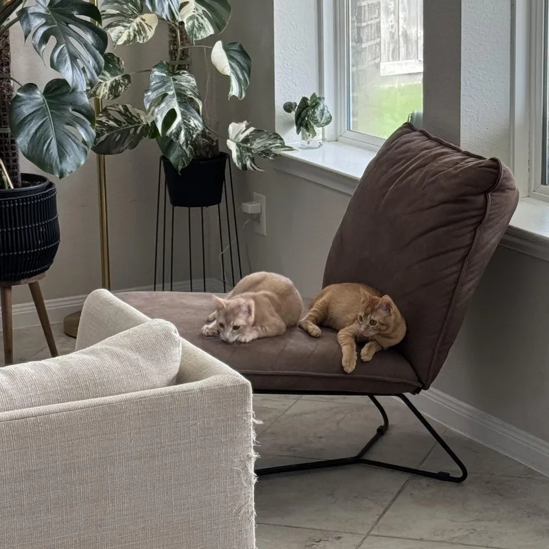 Sir Lewis Hamilton thumbnail 6