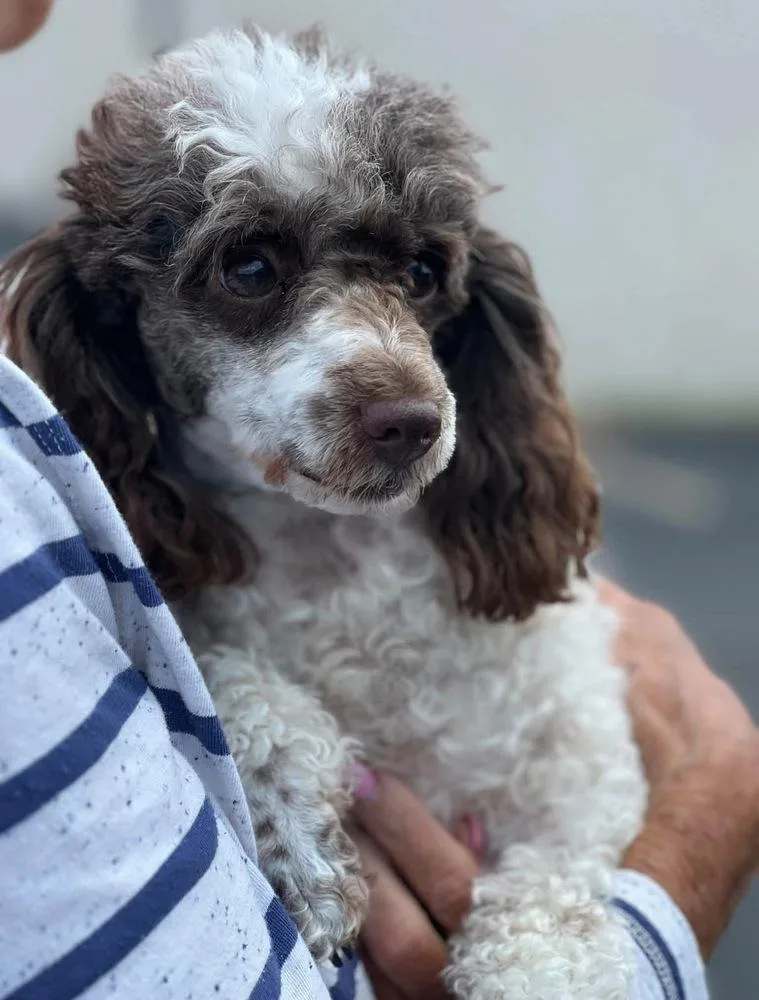 Harmony thumbnail 3