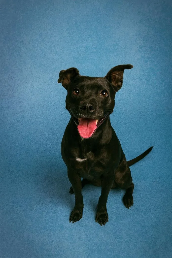 Oil Spill thumbnail 4