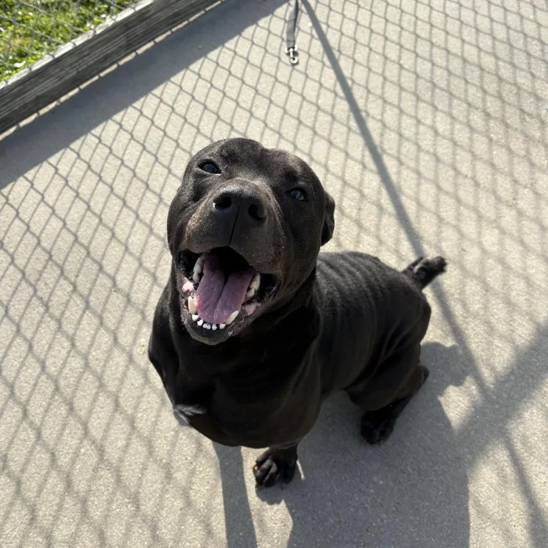 Jax