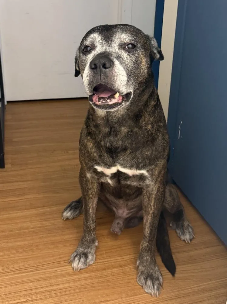 Grandpa Rocky thumbnail 2