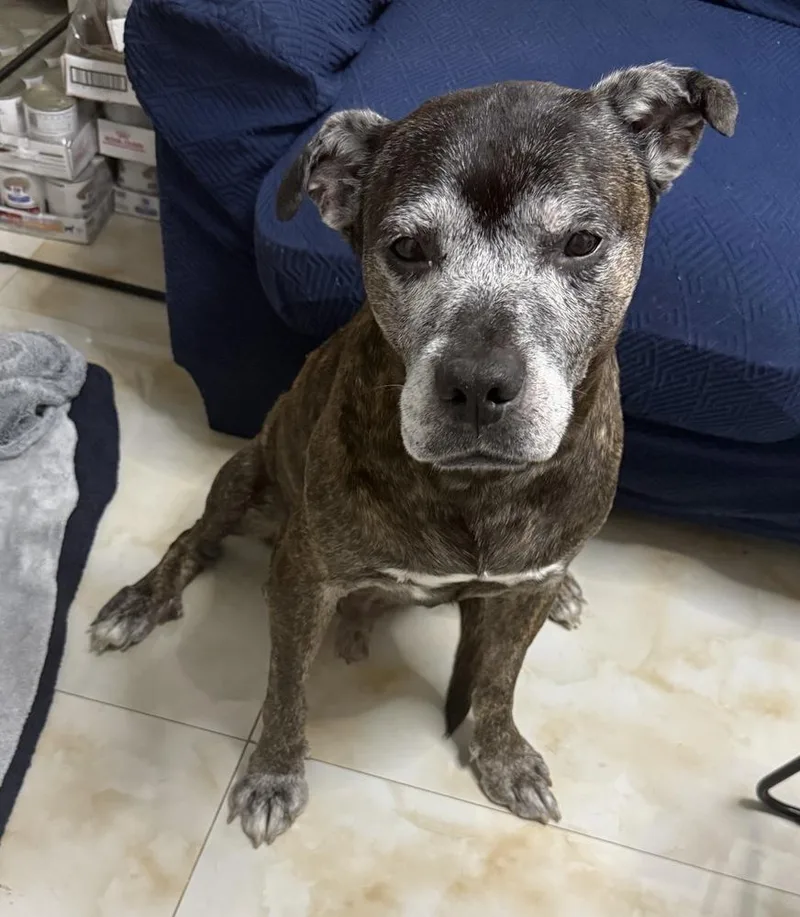 Grandpa Rocky thumbnail 3