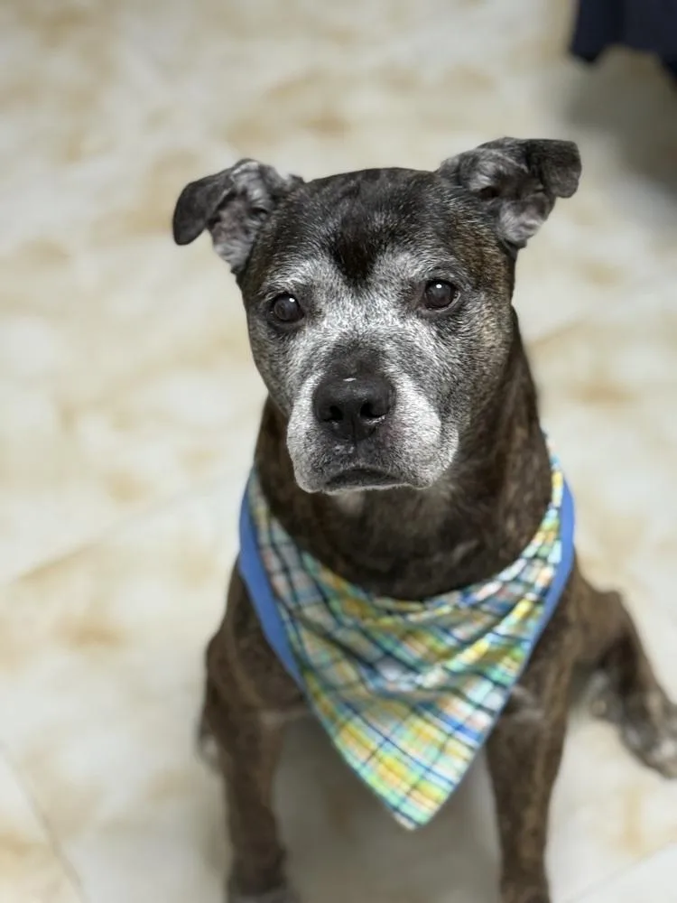 Grandpa Rocky thumbnail 4