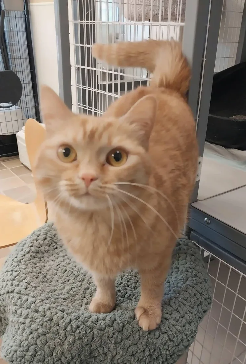 Sunshine thumbnail 2