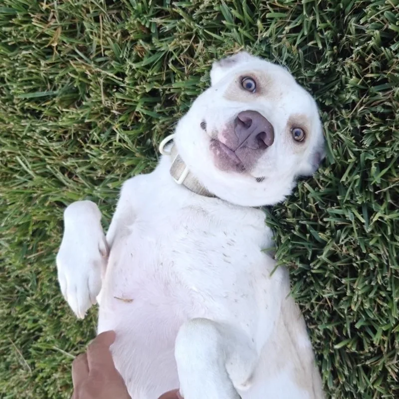 Sailor thumbnail 6