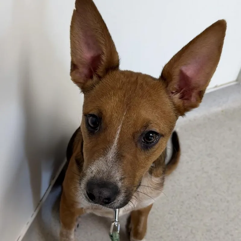 Sam