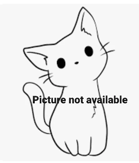 A young medium-sized male Domestic Short Hair cat named Bob for adoption in Los Angeles, CA