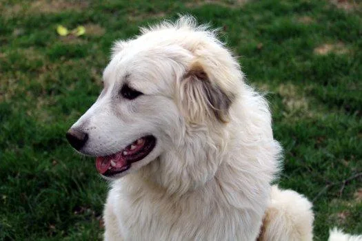 Sinclair thumbnail 5