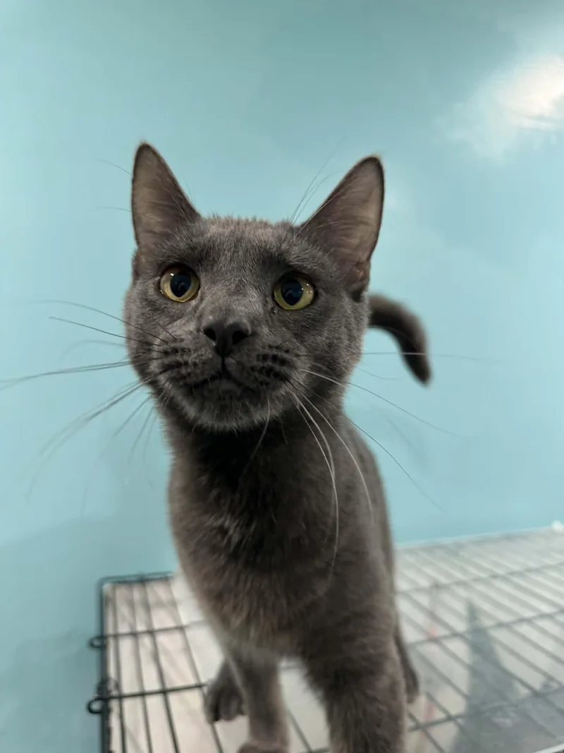 Noah & Nicholas Bonded