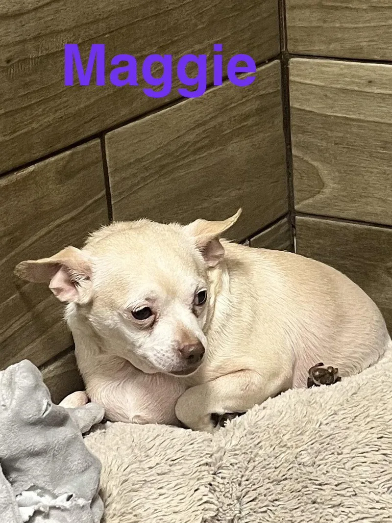 Maggie