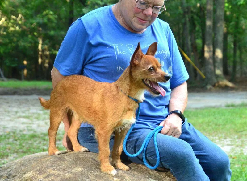 Jake