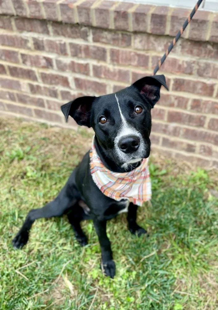 Harley Duke thumbnail 2