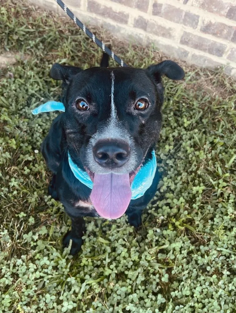 Harley Duke thumbnail 4