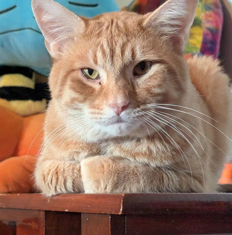 Kevin Bacon thumbnail 2