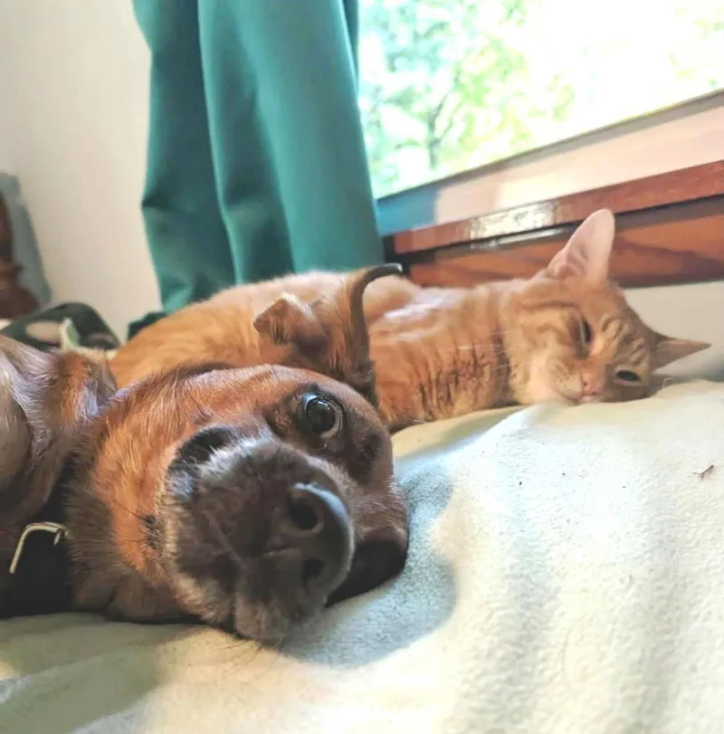 Kevin Bacon thumbnail 3