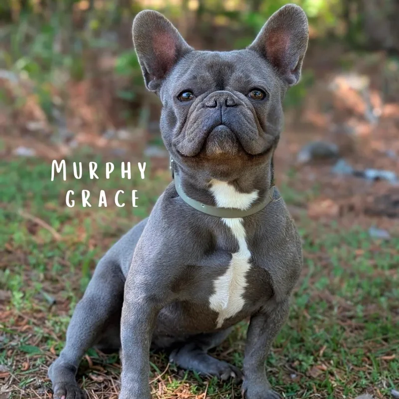 Murphy Grace thumbnail 2