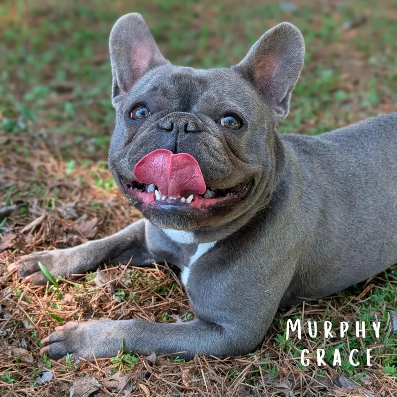 Murphy Grace thumbnail 3